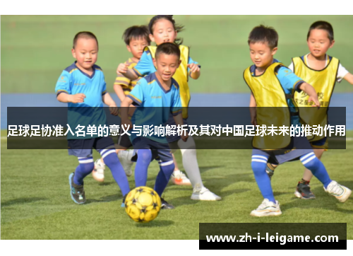 足球足协准入名单的意义与影响解析及其对中国足球未来的推动作用