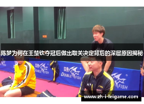 陈梦为何在王楚钦夺冠后做出取关决定背后的深层原因揭秘