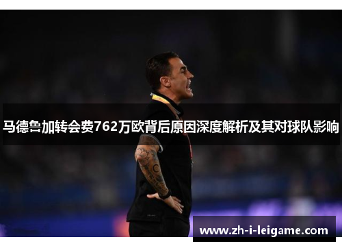 马德鲁加转会费762万欧背后原因深度解析及其对球队影响