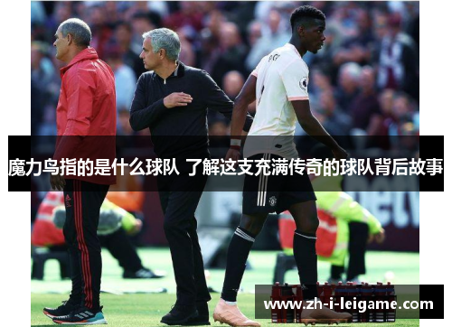 魔力鸟指的是什么球队 了解这支充满传奇的球队背后故事
