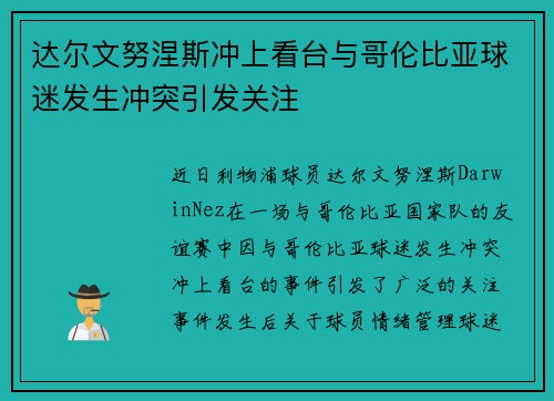 达尔文努涅斯冲上看台与哥伦比亚球迷发生冲突引发关注 达尔文努涅斯冲上看台与哥伦比亚球迷发生冲突引发关注